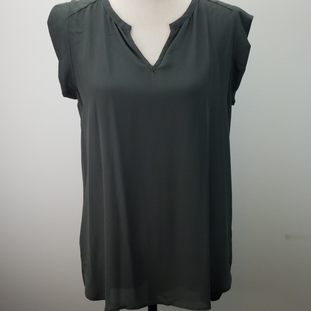 Pleione Sheer Top